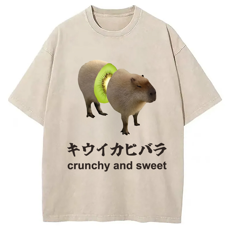 Modecanvas Kiwi Capybara Funny Meme Washed T-Shirt