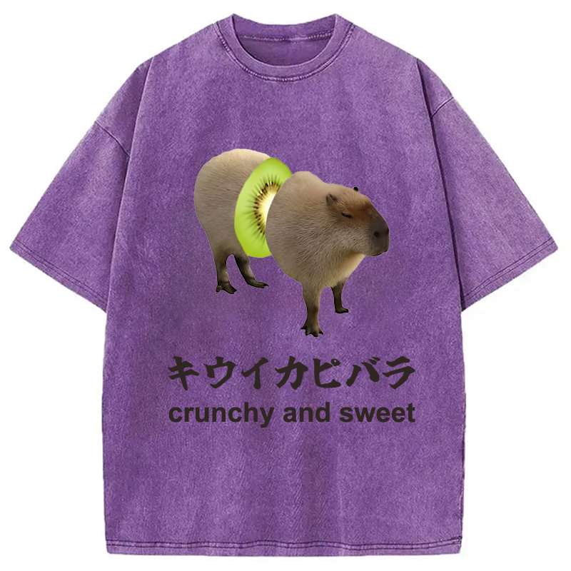 Modecanvas Kiwi Capybara Funny Meme Washed T-Shirt