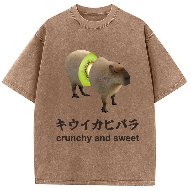 Modecanvas Kiwi Capybara Funny Meme Washed T-Shirt