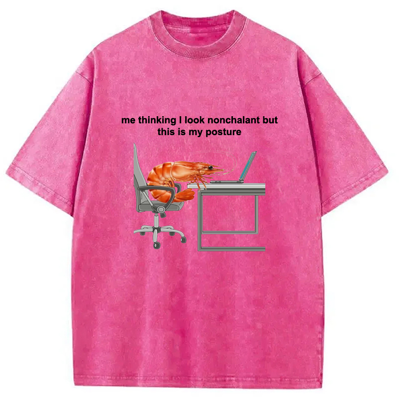 Modecanvas This Is My Posture Washed T-Shirt