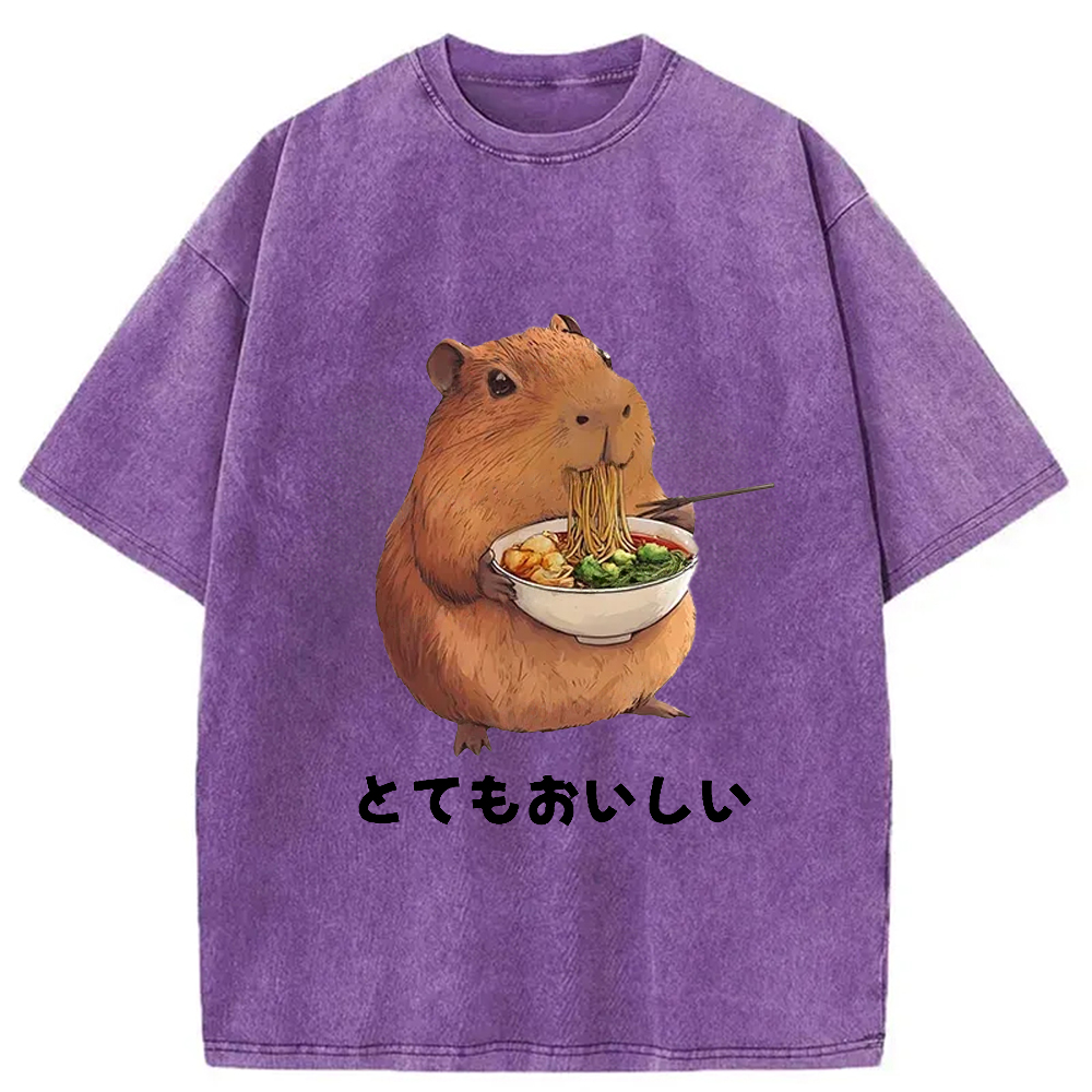 Modecanvas Capybara Eating Japanese Ramen Washed T-Shirt