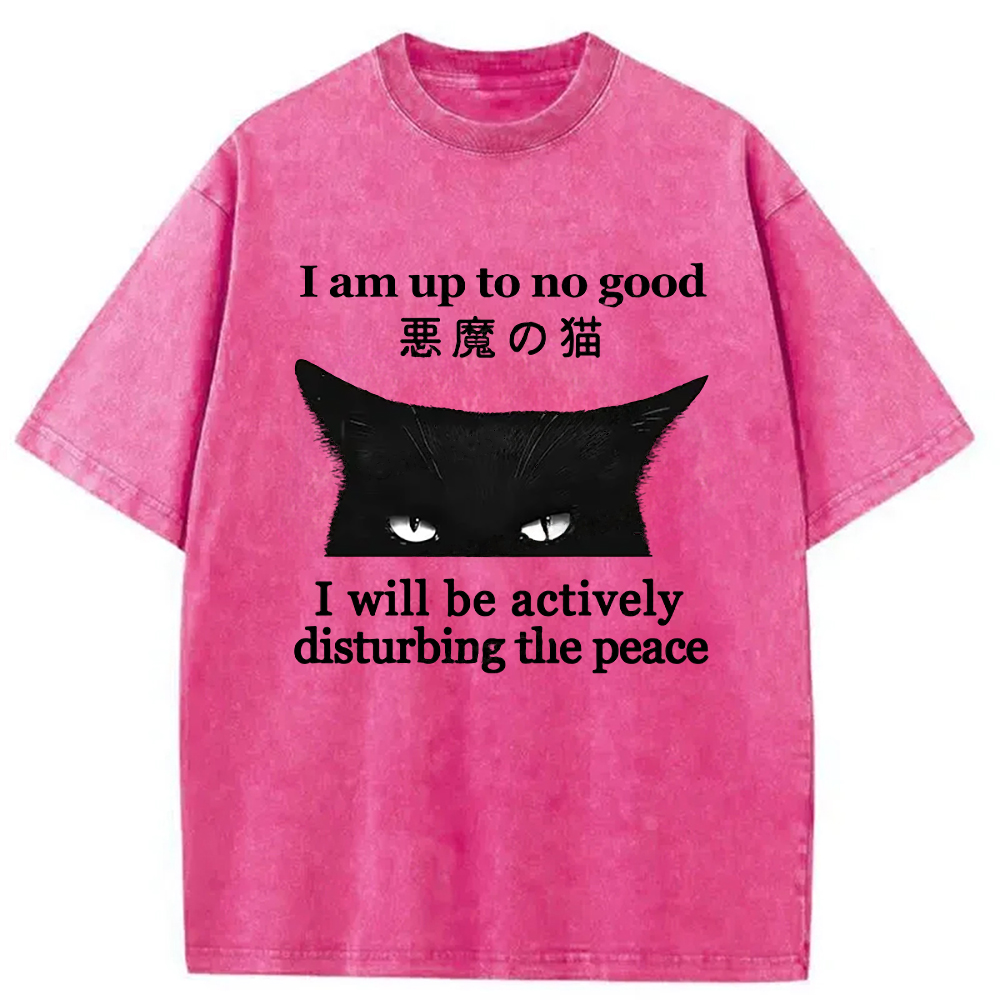 Modecanvas Cat Disturbing The Peace Washed T-Shirt