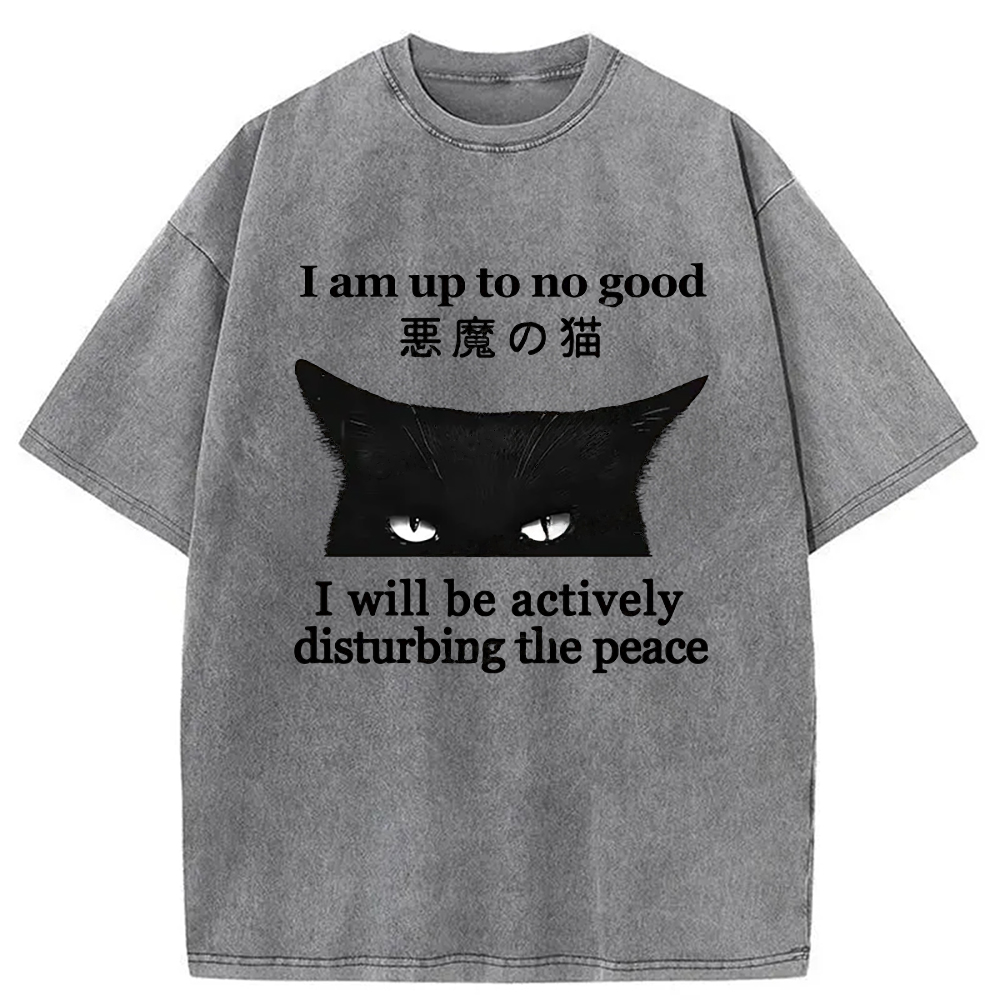 Modecanvas Cat Disturbing The Peace Washed T-Shirt