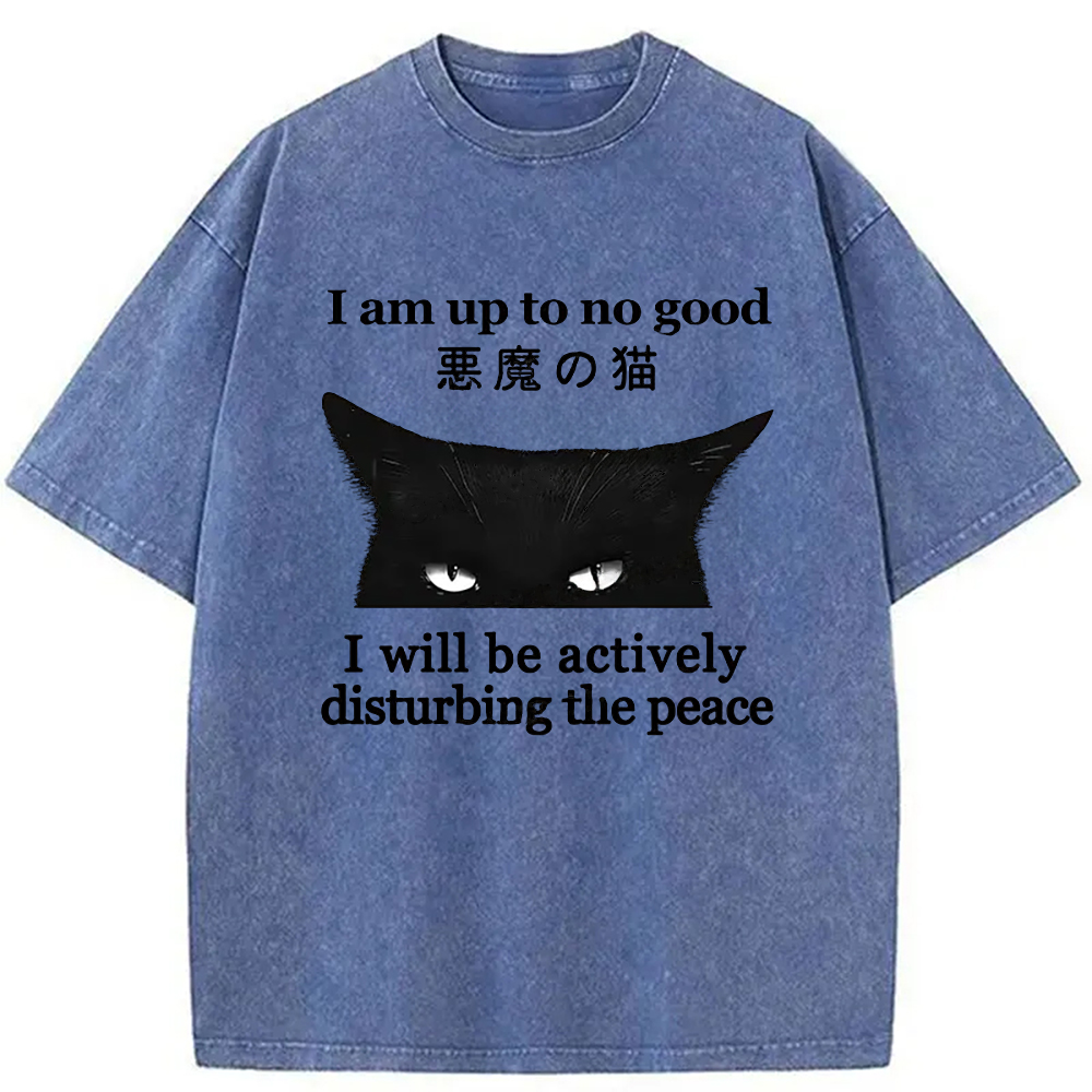 Modecanvas Cat Disturbing The Peace Washed T-Shirt