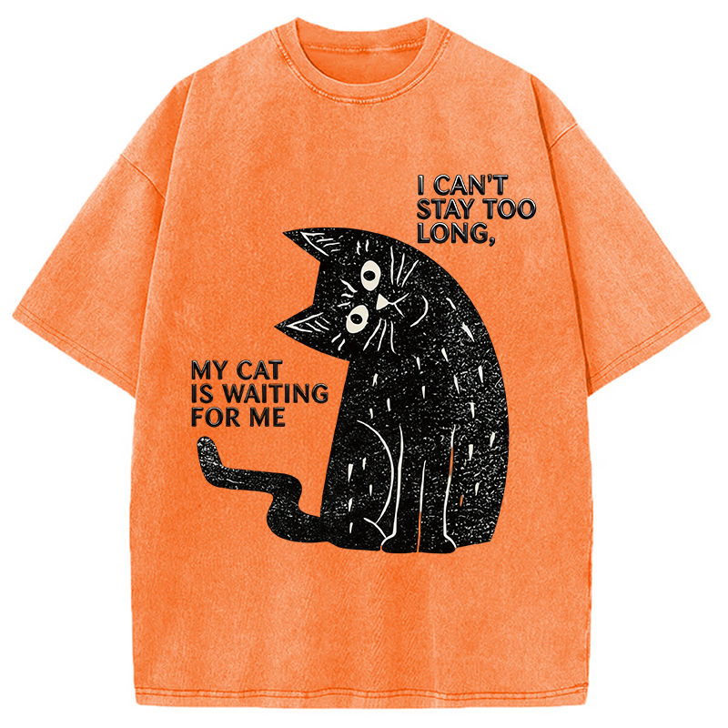 Modecanvas My Cat Is Waiting for Me Washed T-Shirt