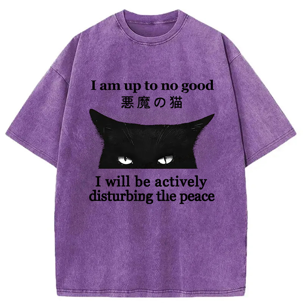 Modecanvas Cat Disturbing The Peace Washed T-Shirt