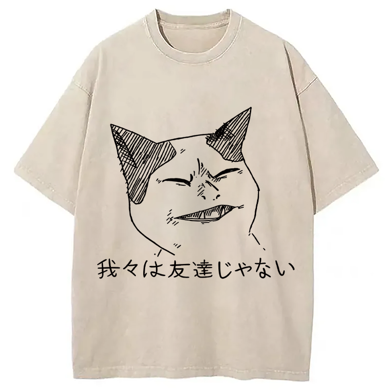 Modecanvas Angry Cat Funny Washed T-Shirt