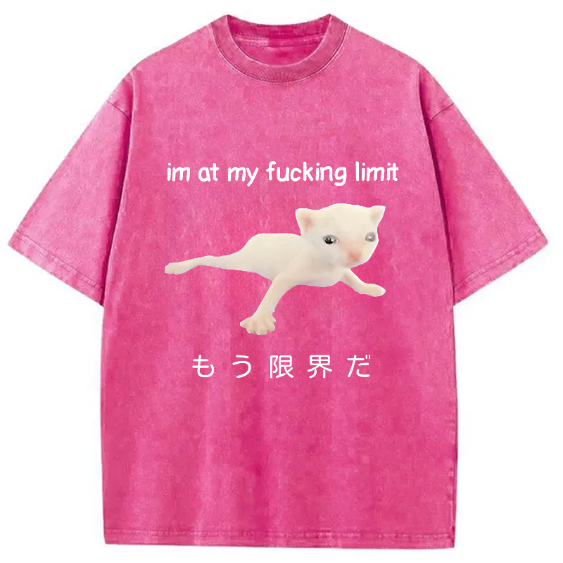 Modecanvas Cat Reaching Its Limit Washed T-Shirt-modecanvas