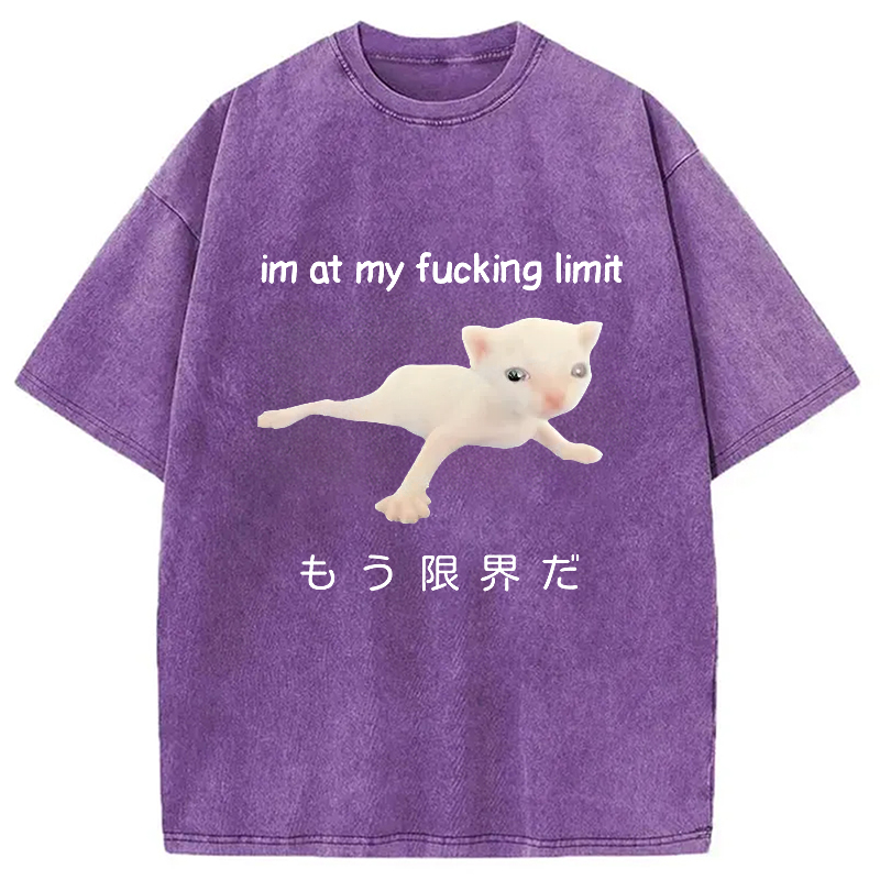 Modecanvas Cat Reaching Its Limit Washed T-Shirt-modecanvas