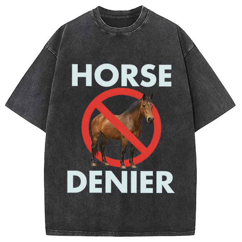 Modecanvas Funny Horse Denier Conspiracy Theory Washed T-Shirt-modecanvas