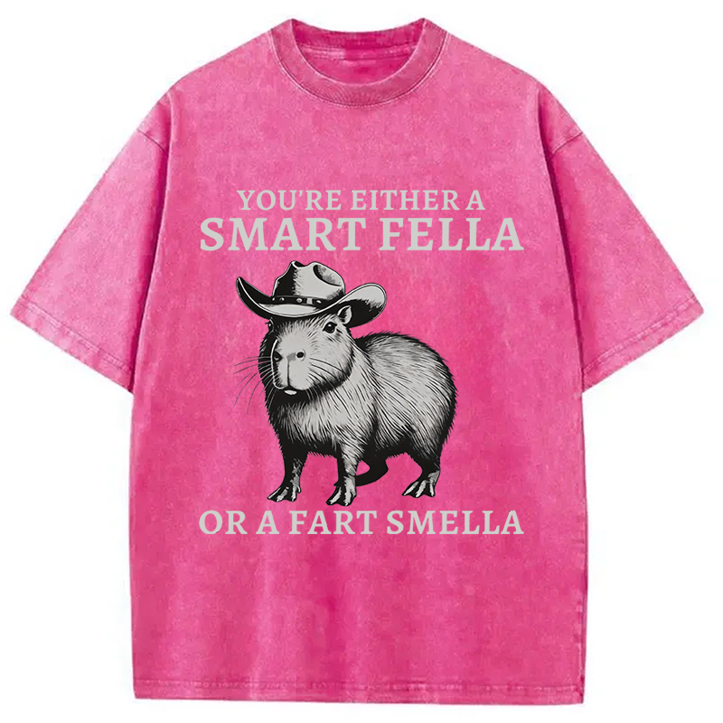 Modecanvas Retro Smart Fella Capybara 90s Washed T-Shirt