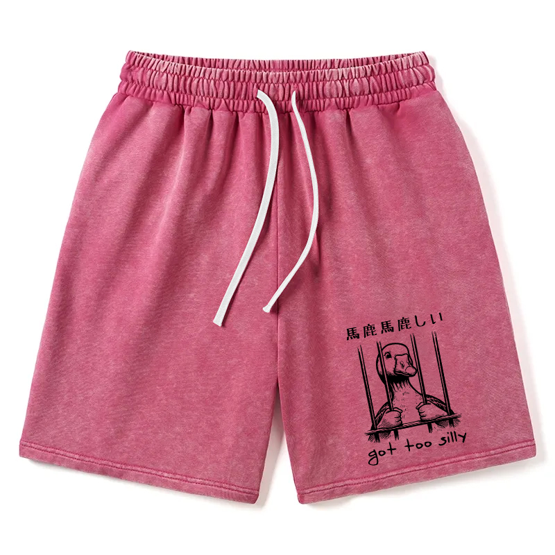Modecanvas Got Too Silly Washed Shorts