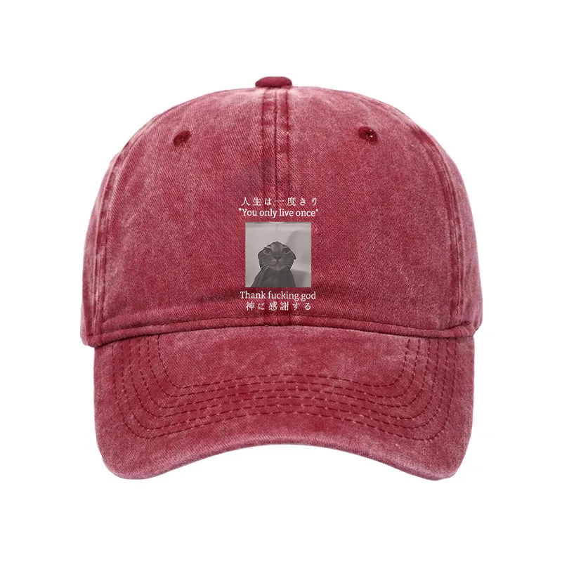 Modecanvas Funny Melancholy Cat Washed Cap-modecanvas