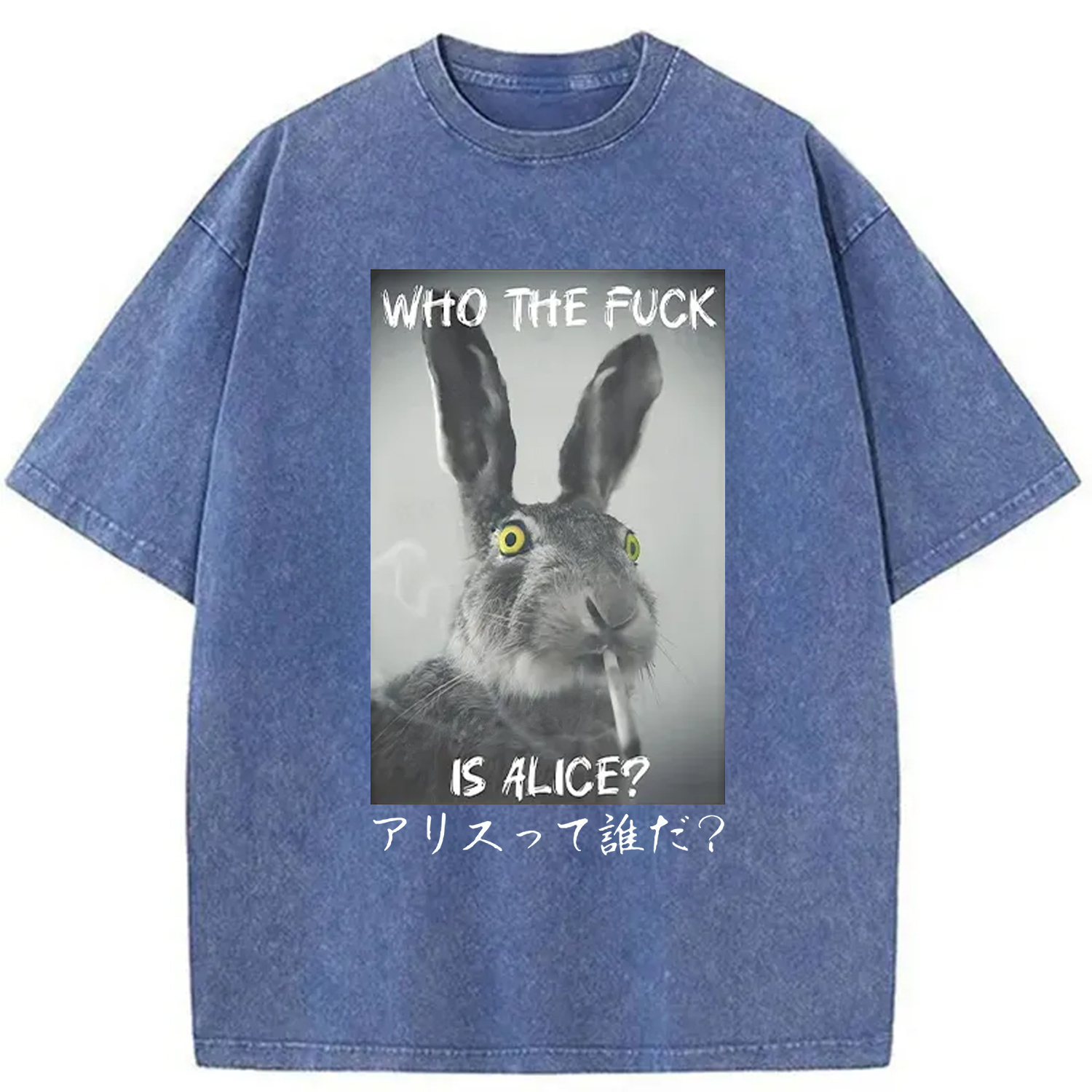 Modecanvas Who Is Alice? Washed T-Shirt
