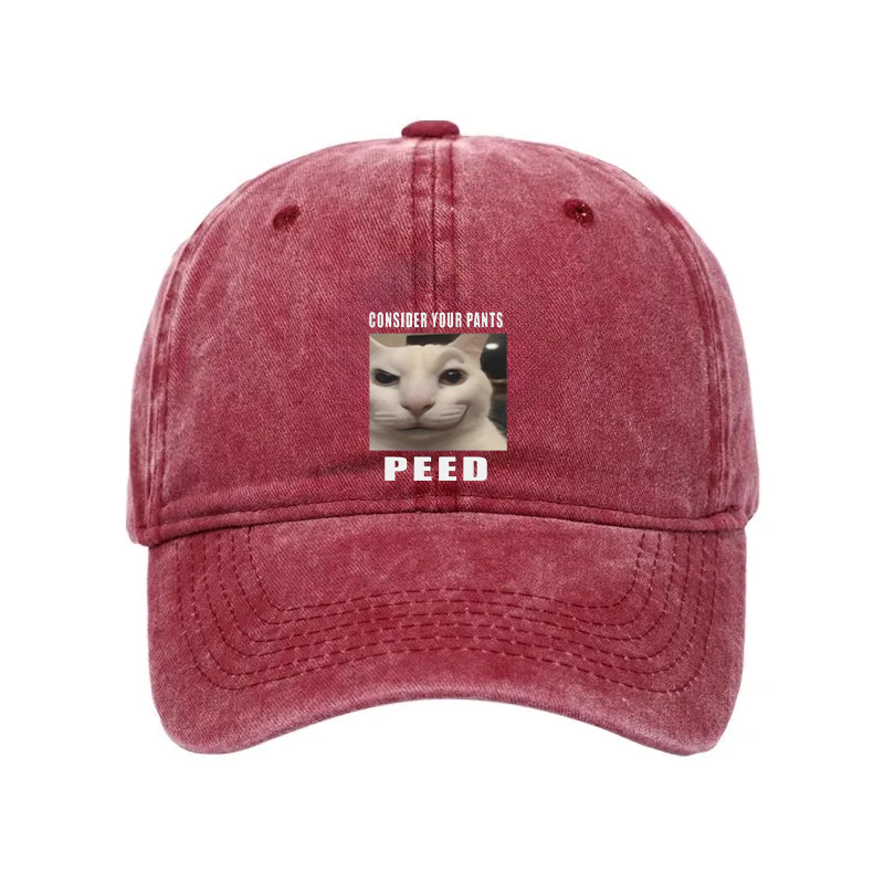 Modecanvas Consider Your Pants Peed Meme Washed Cap-modecanvas