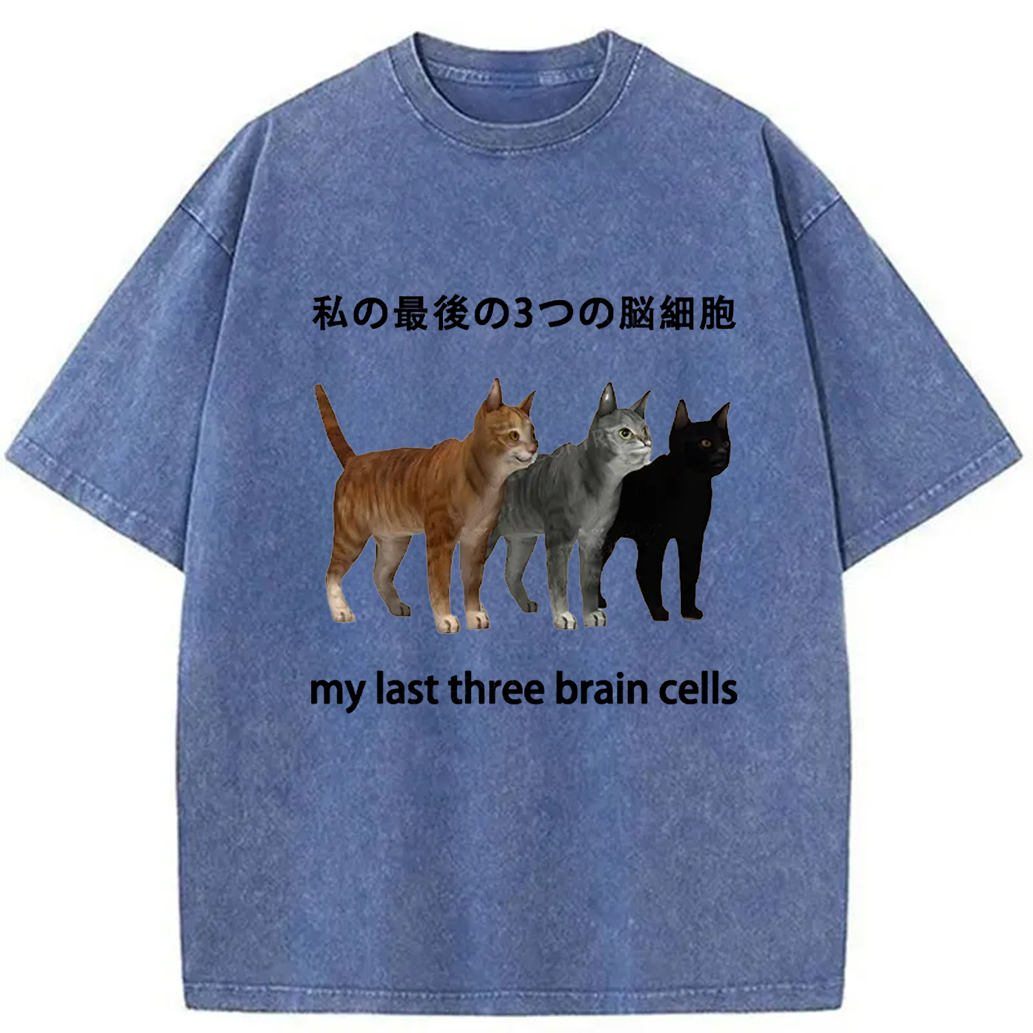 Modecanvas My Last Three Brain Cells Washed T-Shirt