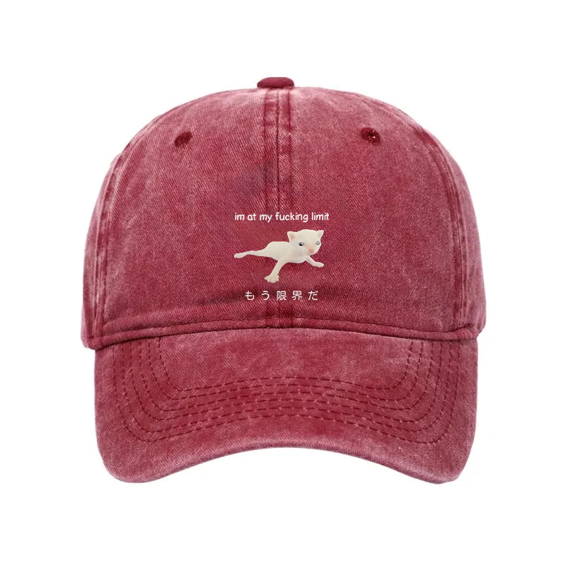 Modecanvas Cat Reaching Its Limit Washed Cap-modecanvas