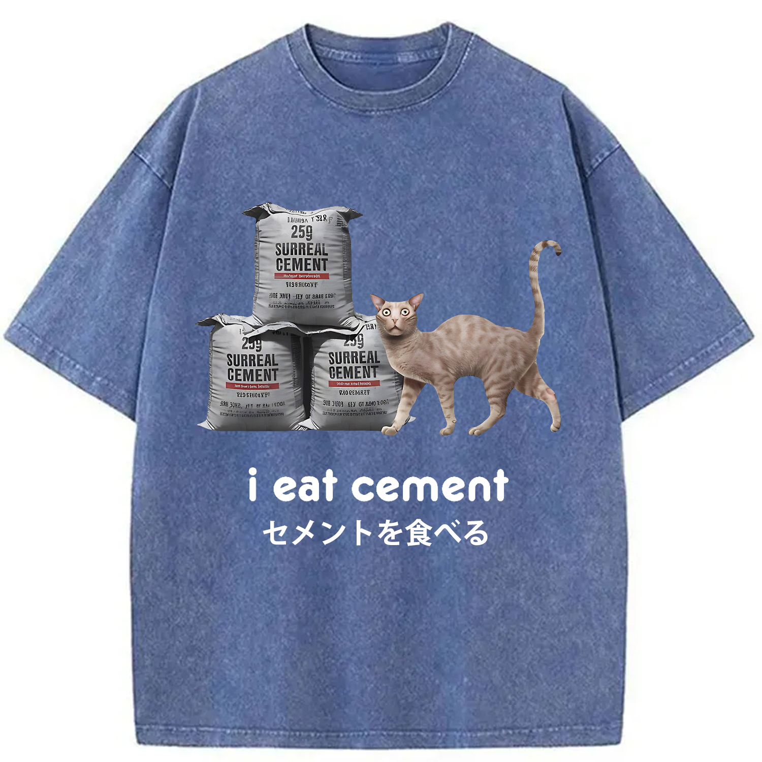 Modecanvas I Eat Cement Cursed Cat Washed T-Shirt