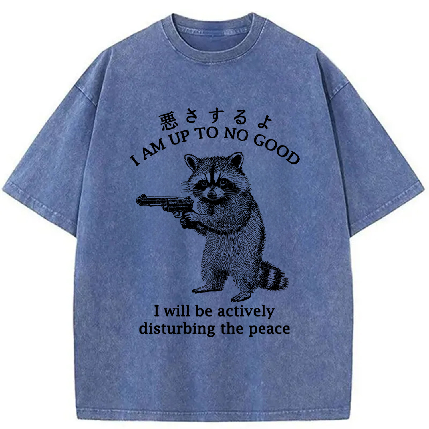 Modecanvas Raccoon Disturbing The Peace Washed T-Shirt