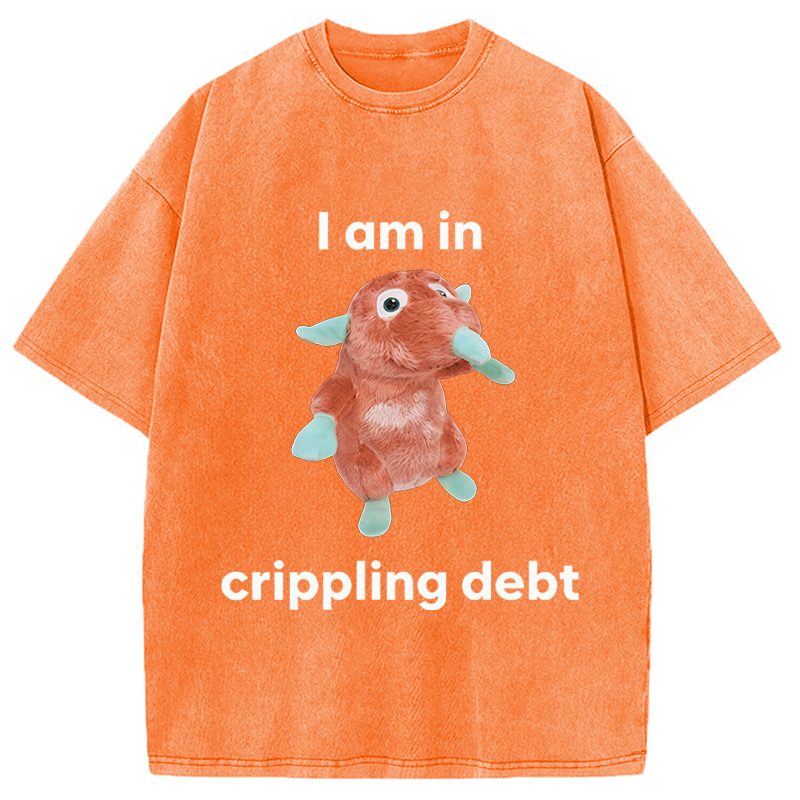 Modecanvas I Am In Crippling Debt Funny Meme DTG Printing Washed T-Shirt
