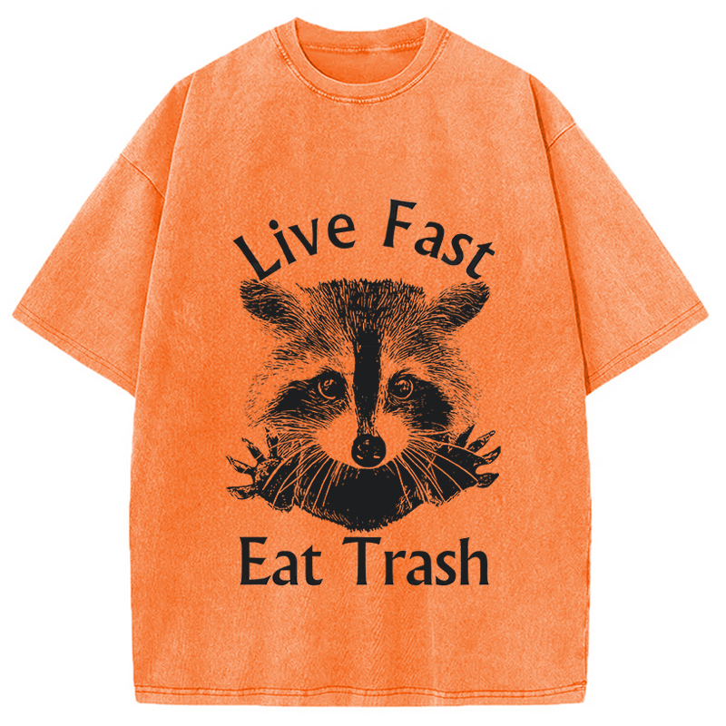 Modecanvas Trash Panda Raccoon DTG Printing Washed T-Shirt