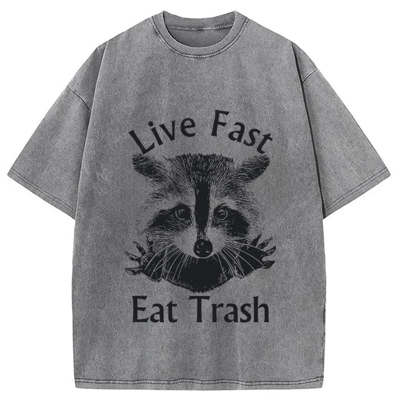 Modecanvas Trash Panda Raccoon DTG Printing Washed T-Shirt