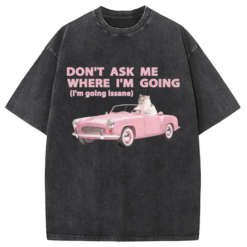 Modecanvas Im Going Insane Cat Meme DTG Printing Washed T-Shirt