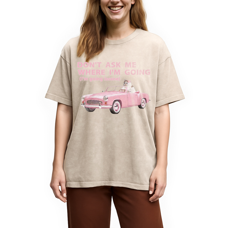 Modecanvas Im Going Insane Cat Meme DTG Printing Washed T-Shirt