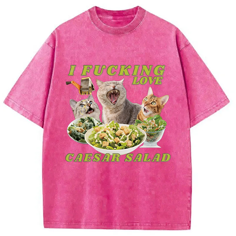 Modecanvas I Fucking Love Caesar Salad Cat Meme DTG Printing Washed T-Shirt