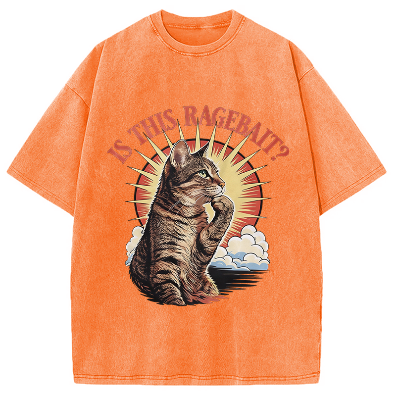 Modecanvas Is This Ragebait? Cat Meme DTG Printing Washed T-Shirt