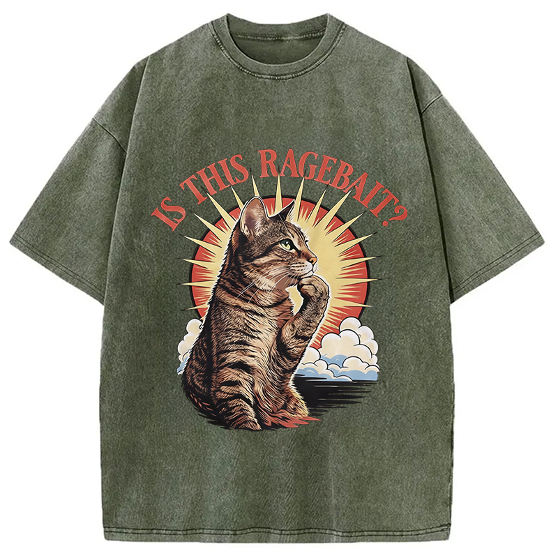 Modecanvas Is This Ragebait? Cat Meme DTG Printing Washed T-Shirt