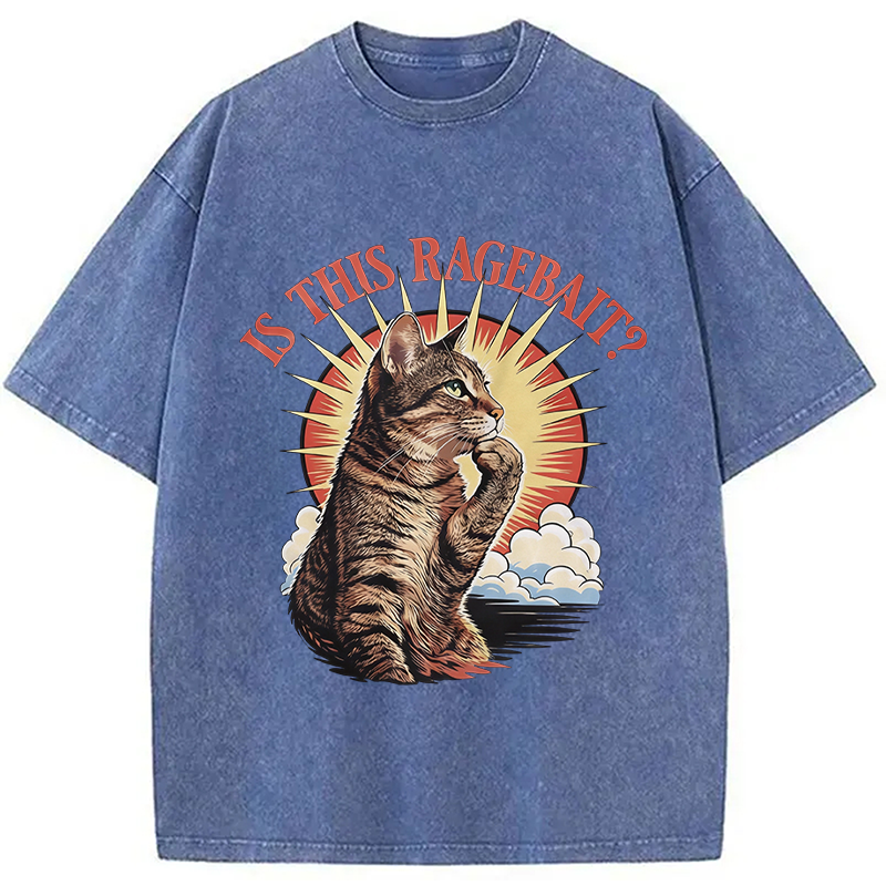 Modecanvas Is This Ragebait? Cat Meme DTG Printing Washed T-Shirt