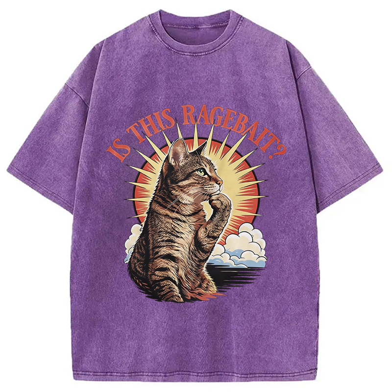 Modecanvas Is This Ragebait? Cat Meme DTG Printing Washed T-Shirt