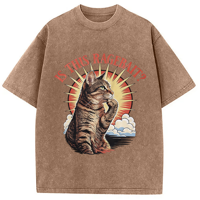 Modecanvas Is This Ragebait? Cat Meme DTG Printing Washed T-Shirt