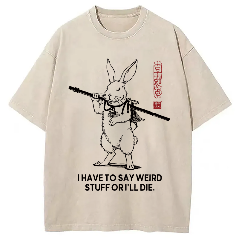 Modecanvas I Have To Say DTG Printing Washed T-Shirt