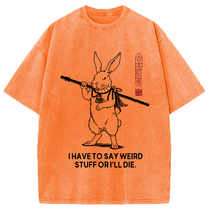 Modecanvas I Have To Say DTG Printing Washed T-Shirt