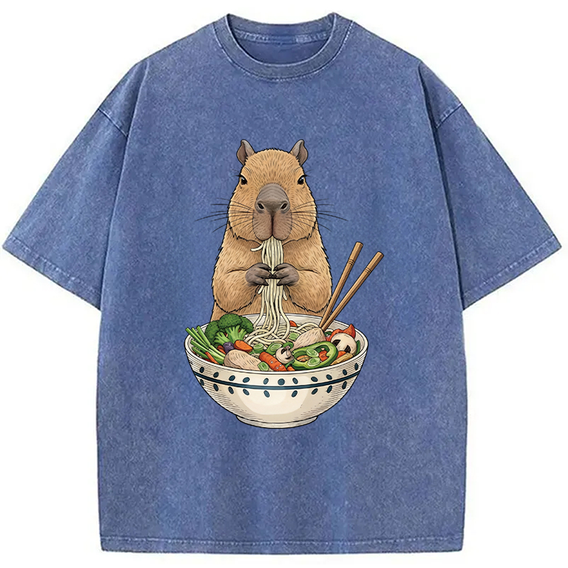 Modecanvas Funny Capybara Eating Ramen DTG Printing Washed T-Shirt