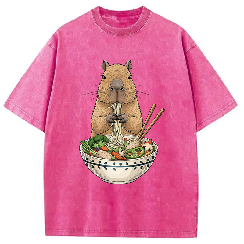 Modecanvas Funny Capybara Eating Ramen DTG Printing Washed T-Shirt