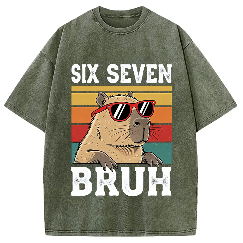 Modecanvas Funny Six Seven Capybara DTG Printing Washed T-Shirt