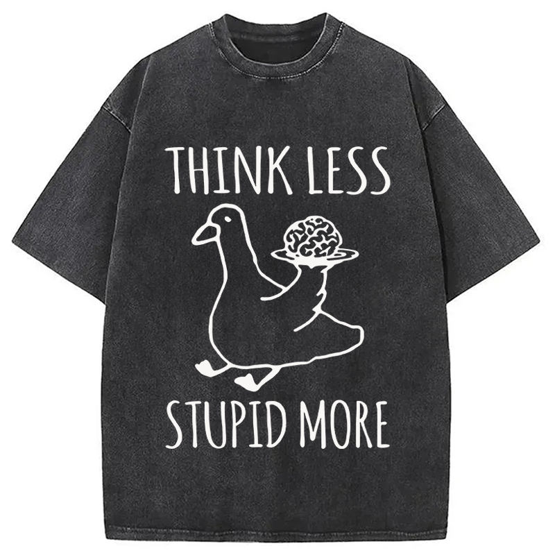 Modecanvas Foolish Goose Is Even More Foolish DTG Printing Washed T-Shirt