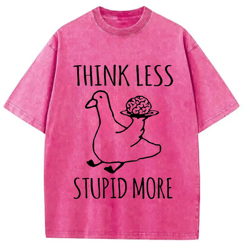 Modecanvas Foolish Goose Is Even More Foolish DTG Printing Washed T-Shirt
