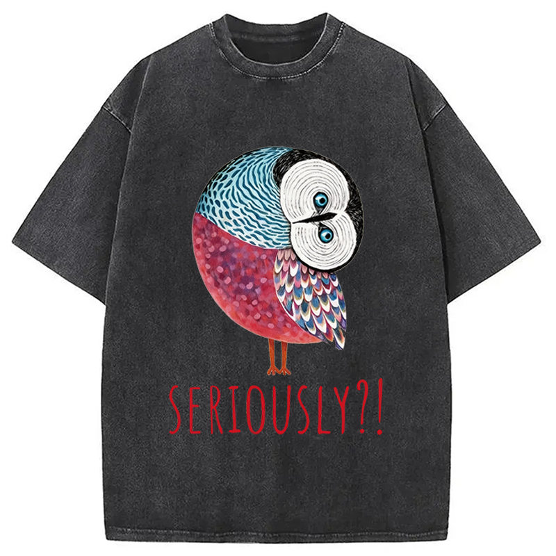 Modecanvas Seriously Art Owl DTG Printing Washed T-Shirt