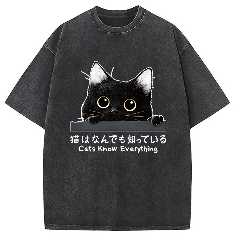 Modecanvas Cats Know Everything DTG Printing Washed T-Shirt-modecanvas