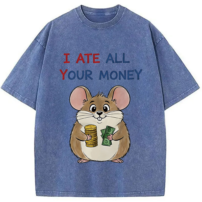 Modecanvas I Ate All Your Money Meme DTG Printing Washed T-Shirt-modecanvas