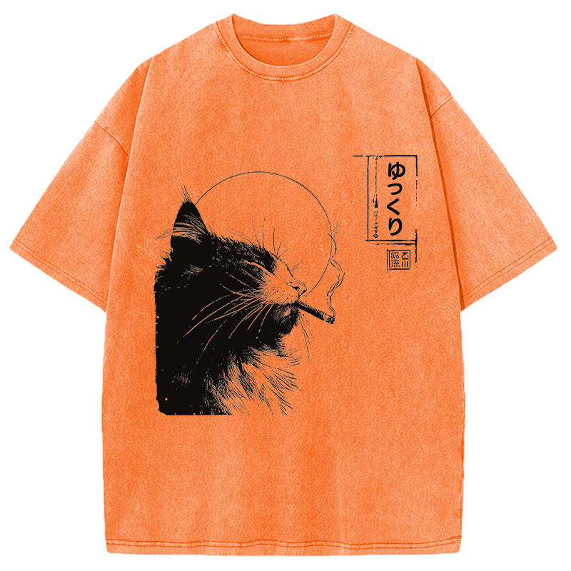 Modecanvas Stay Chill Smoking Cat DTG Printing Washed T-Shirt-modecanvas