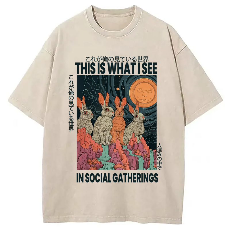 Modecanvas Funny Rabbit Japanese Social Anxiety DTG Printing Washed T-Shirt-modecanvas