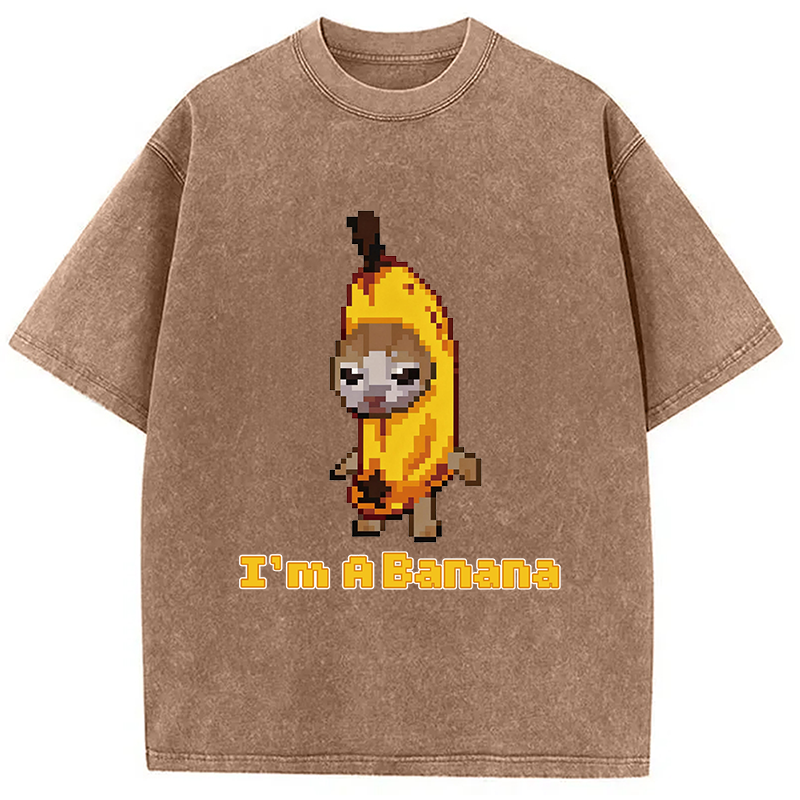 Modecanvas Banana Cat DTG Printing Washed T-Shirt
