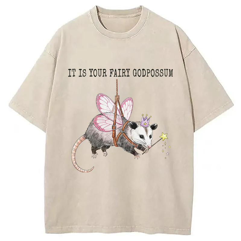 Modecanvas Funny Possum Meme DTG Printing Washed T-Shirt