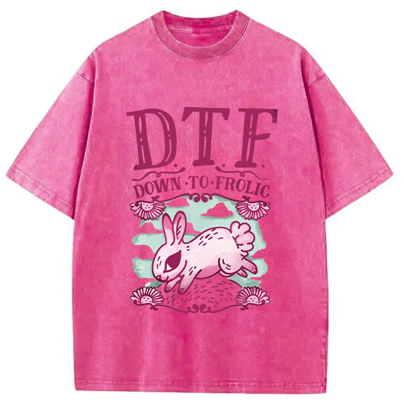 Modecanvas DTF Down To Frolic DTG Printing Washed T-Shirt