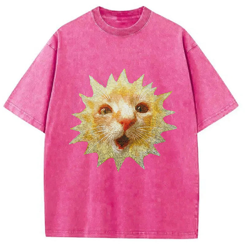 Modecanvas Sun Cat Meme DTG Printing Washed T-Shirt
